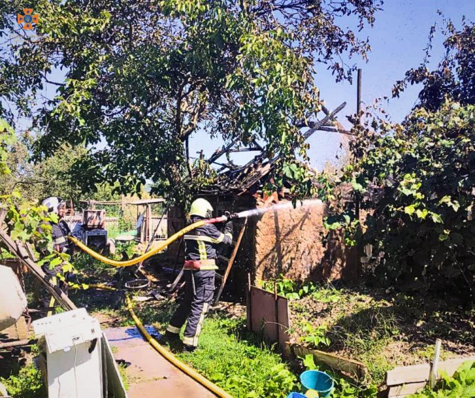 На Закарпатті загорілася будівля, у якій перебувала тварина – 03