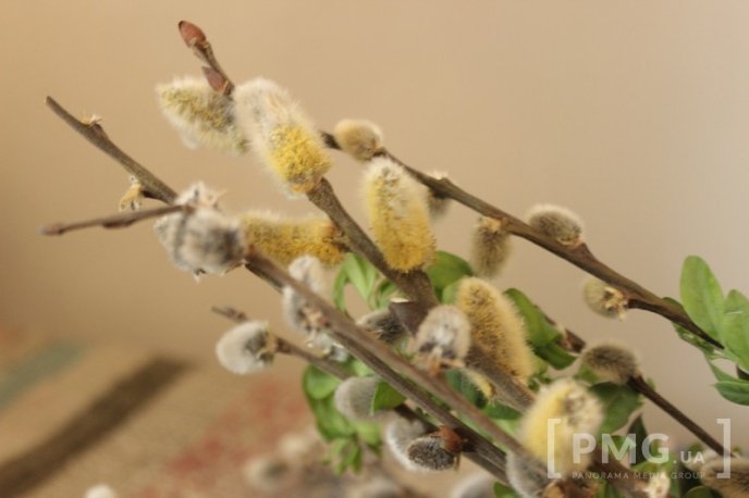 Мукачівські вірники відзначили Вербну неділю – 05