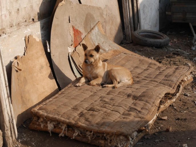 Представники ужгородської влади завітали у ромське поселення міста – 06