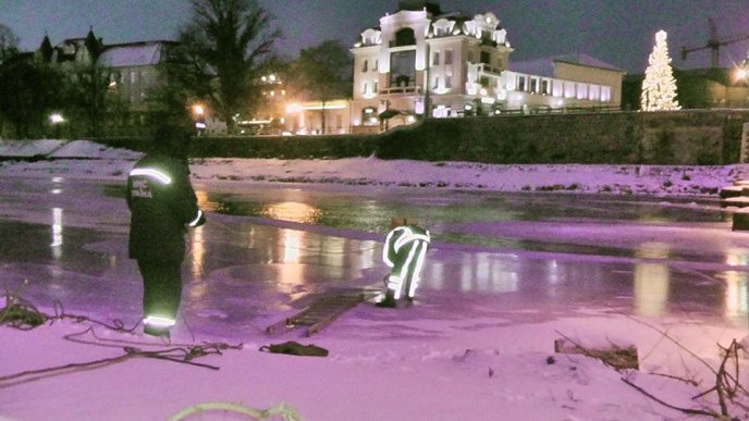 В Ужгороді рятувальники бензопилами звільняли качок та лебедів з крижаного полону – 03