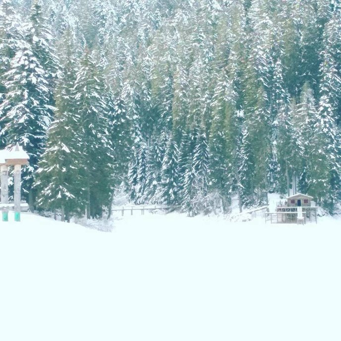 На Синевирі спорудили будиночок для героя останнього фільму Жана Рено  – 02