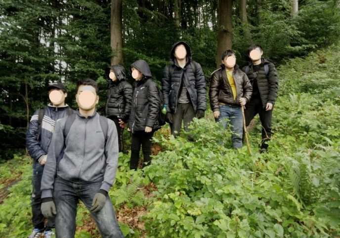 Поблизу кордону затримали 9 нелегалів – 01