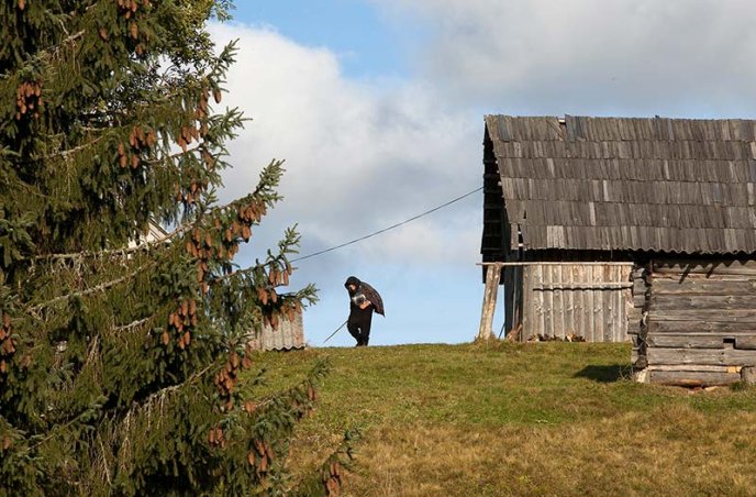 В Ужгороді відкрили фотовиставку, присвячену життю та побуту в Карпатах (ФОТО) – 14