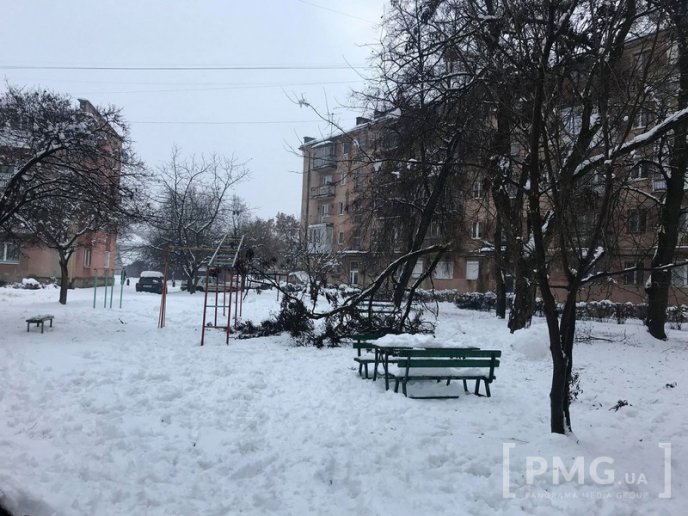 У Мукачеві величезне дерево впало на дитячий майданчик – 03