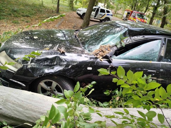 Повалені дерева і потрощені машини: негода наробила лиха в області – 02