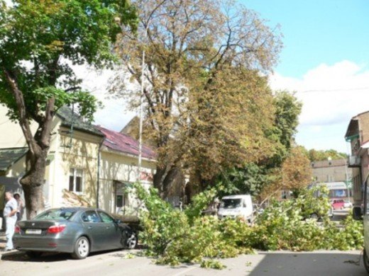 В Ужгороді гілка дерева впала на припаркований BMW і розтрощила його передню частину (ФОТО) – 02 В Ужгороді гілка дерева впала на припаркований BMW і розтрощила його передню частину (ФОТО) – 02