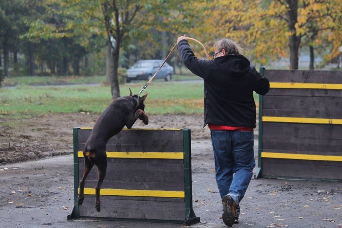 У Мукачеві відбулося урочисте відкриття дресирувального парку для собак – 05