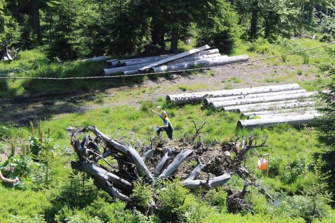 Орієнтувальники зі всієї України з’їхались у Закарпаття на змагання "Мапа мольфара" – 11
