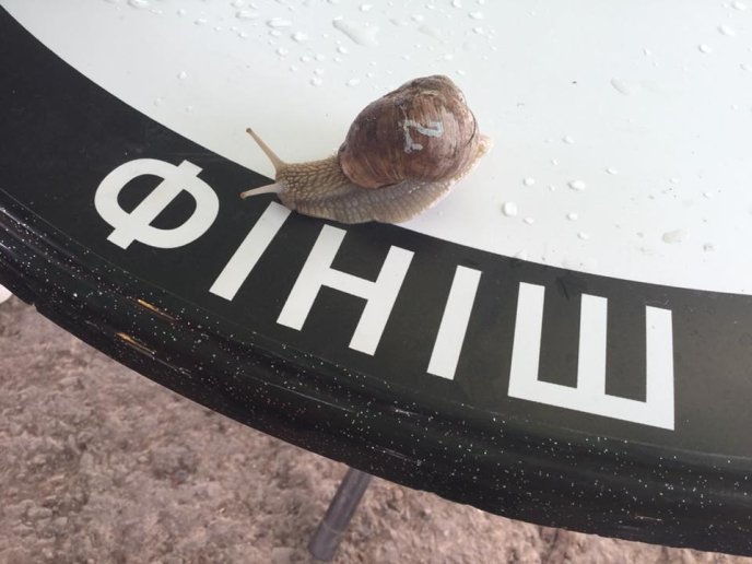 На Перечинщині відбулись незвичні перегони – 15