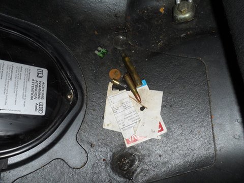 На Закарпатті собака Герда виявила в автомобілі угорця стріляну гільзу та набої  – 03