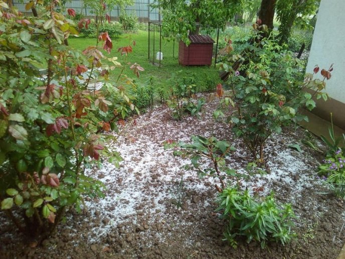 На Іршавщині сьогодні випав град – 03