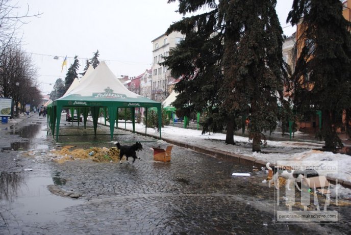 Після фестивалю “Червене вино” залишилось багато яскравих спогадів і … велика купа сміття (ФОТО) – 04 Після фестивалю “Червене вино” залишилось багато яскравих спогадів і … велика купа сміття (ФОТО) – 04