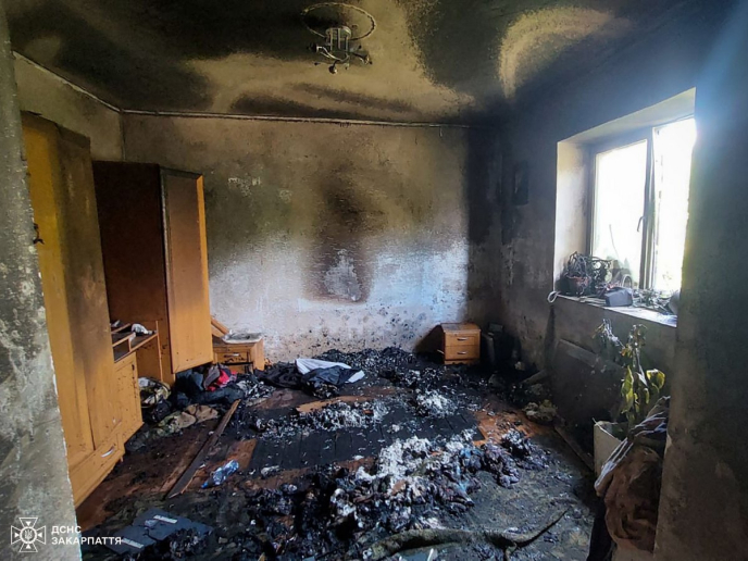 У Великоберезнянській громаді гасили пожежу – 01 Пожежа у селі Забрідь