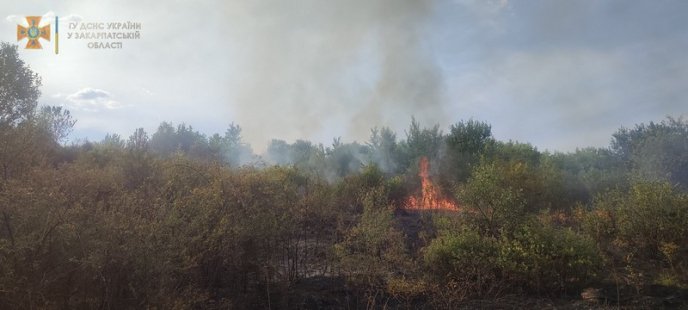 Понад 8 годин рятувальники гасили пожежу на Виноградівщині – 03
