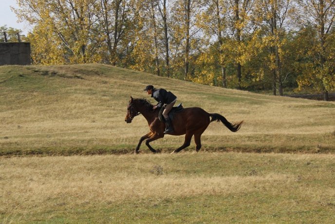 Чергові змагання – і знову нагороди: мукачівські орієнтувальники не перестають тішити (ФОТО) – 09