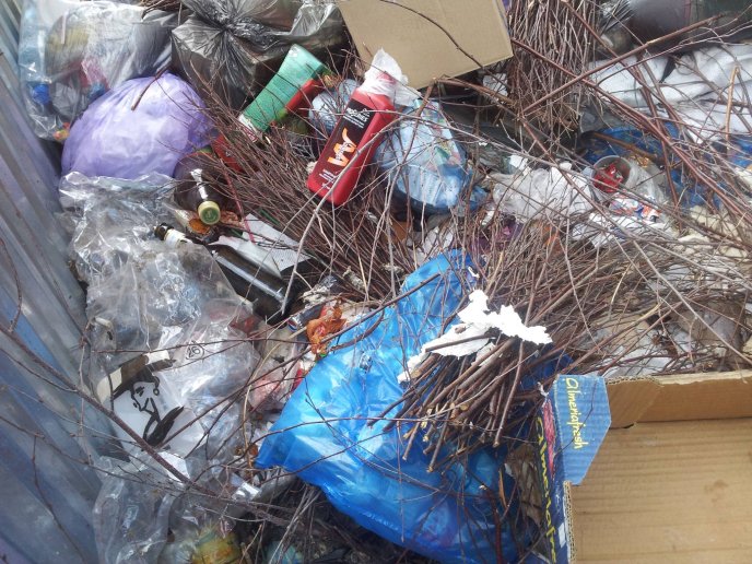 В історичному центрі Ужгорода розмістили сміттєзвалище (ФОТО) – 01