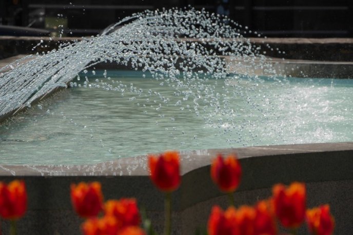 В Ужгороді на площі Поштовій запрацював фонтан – 02