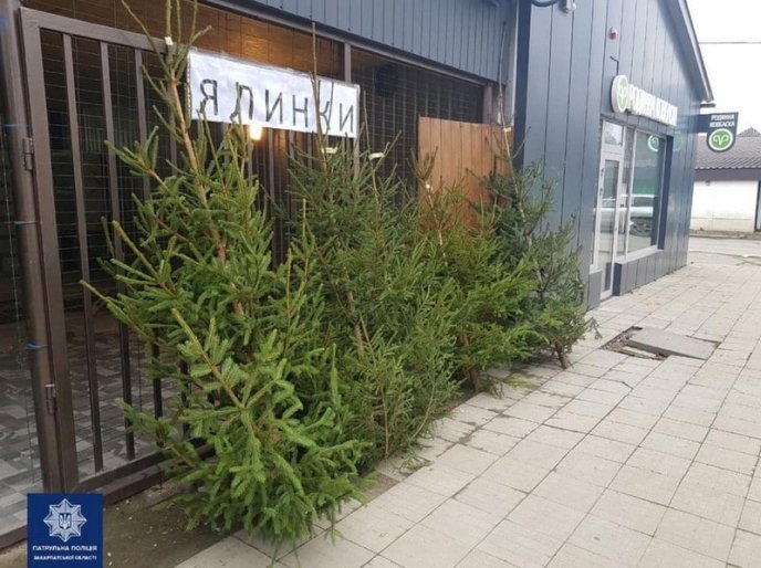 Патрульні виявили незаконну торгівлю ялинками – 01