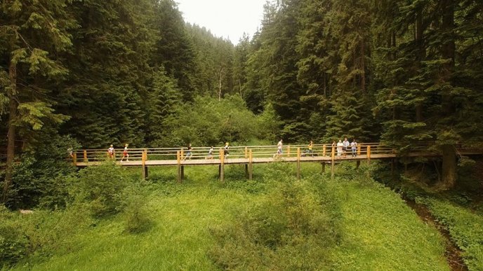 Озеро Синевир, село Колочава та гірський перевал у Карпатах показали з висоти пташиного польоту – 05