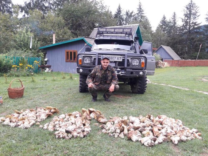 У мережі набирають популярності світлини великої кількості грибів, зібраних у Карпатах – 05