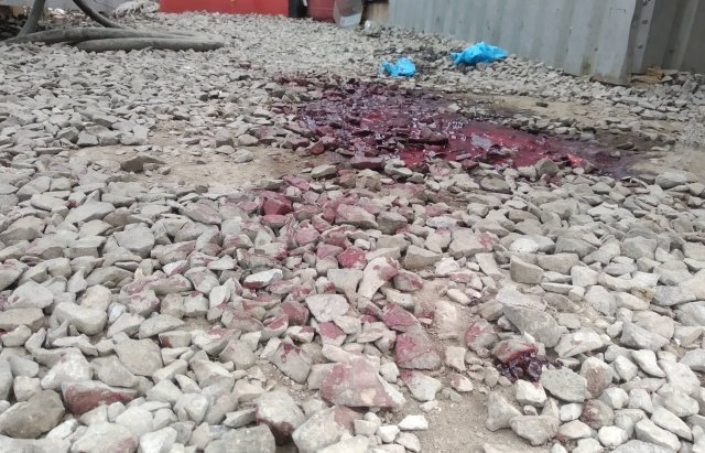 Оприлюднено фото з місця вбивства 20-річного мукачівця – 03