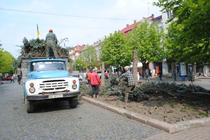 Комунальники зрізають останні ялинки у центрі Мукачева (ФОТО) – 06