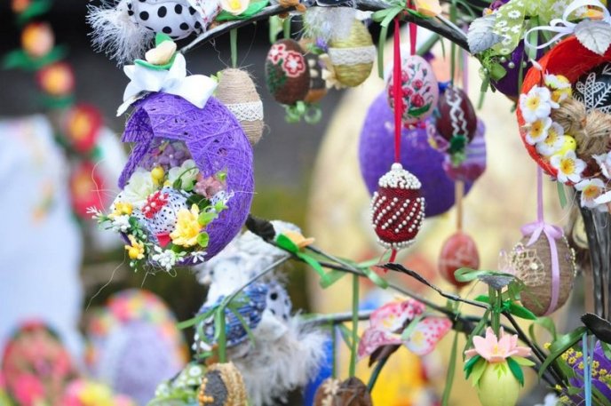 В Ужгороді встановили новий рекорд України – 10