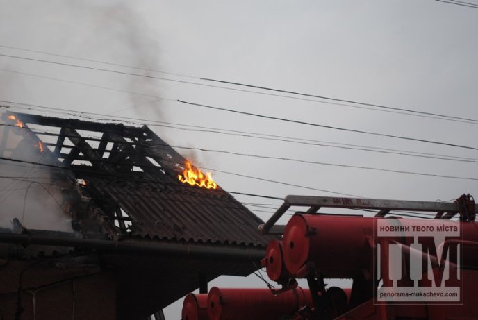 Деталі пожежі, що сталась неподалік мукачівського замку (ФОТО, ВІДЕО) – 06