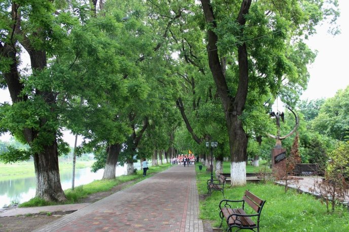 В Ужгороді з нагоди Міжнародного дня танцю відбувся концерт та танцювальний флешмоб – 12