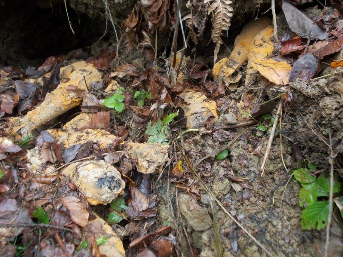 На Рахівщині піротехніки знешкодили вибухонебезпечний арсенал – 01