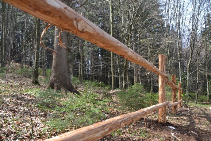 На околиці Колочави зі старого автобуса ЛАЗ зробили гігантський вулик – 05