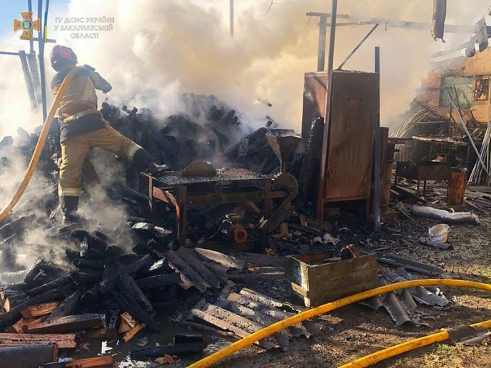 Під час пожежі на Ужгородщині рятували свиней і кролів – 03