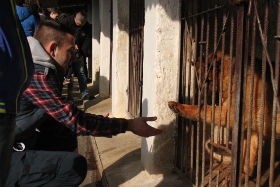Вихованці Перечинської школи-інтернат відвідали кінологічний центр – 09