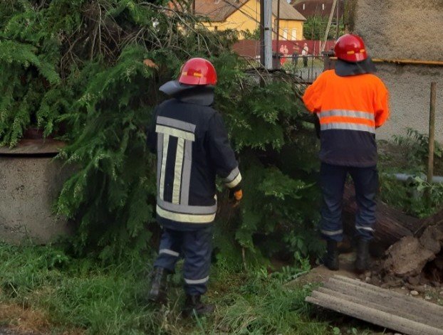 Через негоду на Закарпатті знеструмлено 26 населених пунктів – 02