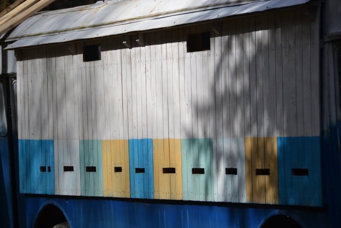 На околиці Колочави зі старого автобуса ЛАЗ зробили гігантський вулик – 02