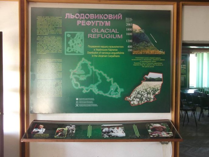 На Хустщині відкрили оновлену дорогу, яка веде до Долини нарцисів – 21