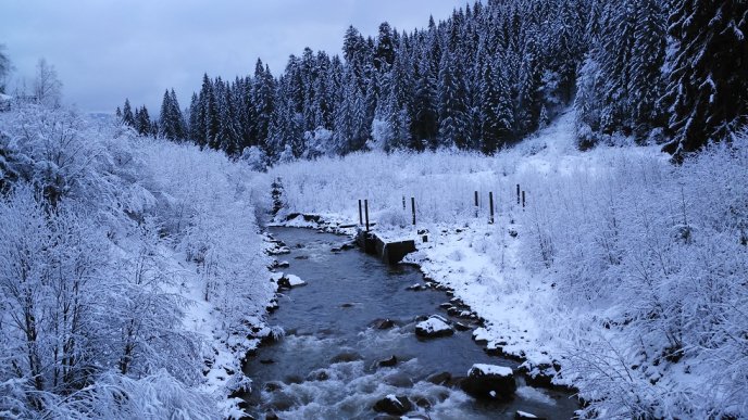 Москаль відвідав єдиний у Європі музей лісу – 05