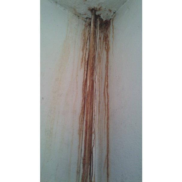 Холодна палата, стіни вкриті грибком, жахливий сморід, – жінка поскаржилась на умови в одній із лікарень області (ФОТО) – 01