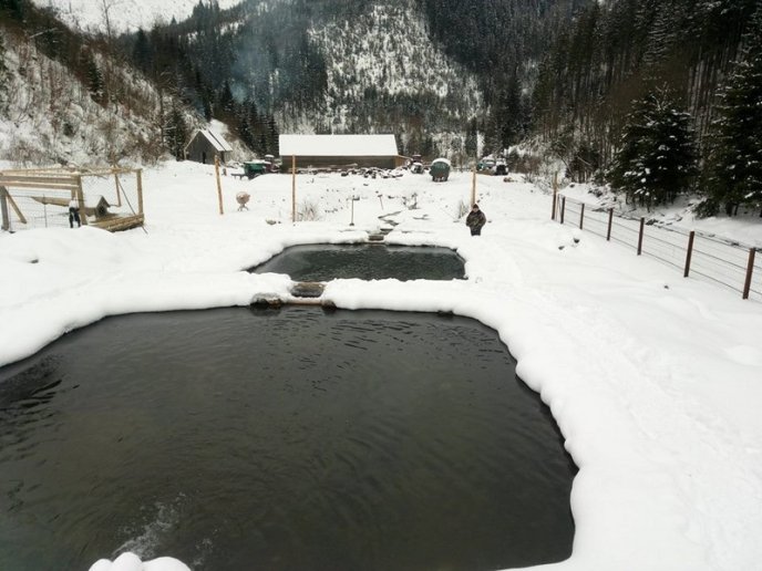 Лісівники врятували оленя, матір якого загризли вовки – 04 Лісівники врятували оленя, матір якого загризли вовки – 04