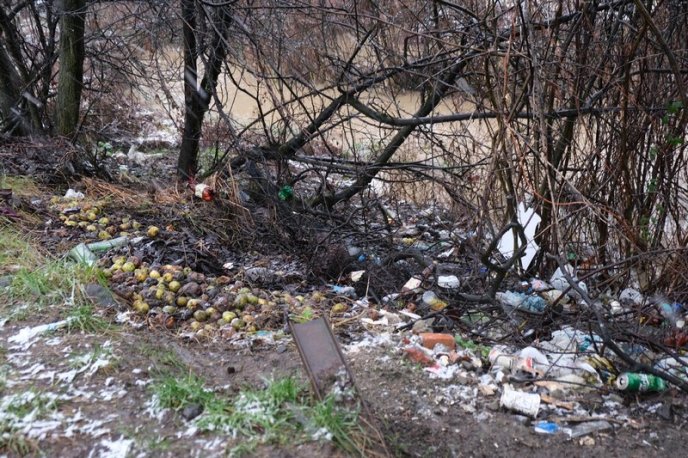 На Закарпатті сильні дощі спричинили підтоплення: ВІДЕО  – 07