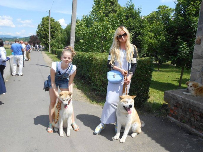 На міському пляжі Мукачева відбулась виставка собак – 02