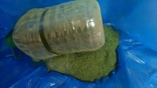 На Закарпатті затримали жінку, яка продавала наркотики – 01