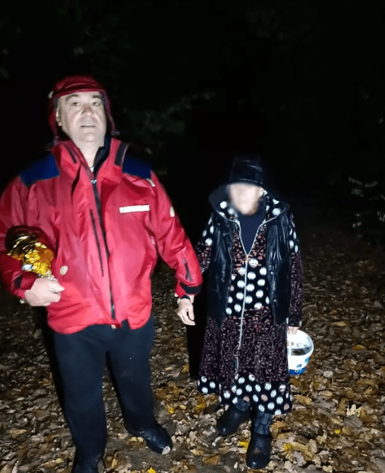 89-річна жінка пішла по гриби і заблукала в лісі – 01 У лісі знайшли пенсіонерку, яка заблукала