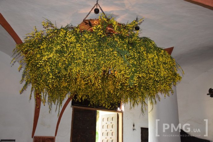 У Чинадієві стартував квітковий фестиваль "Кохання в Сент-Міклош" – 29