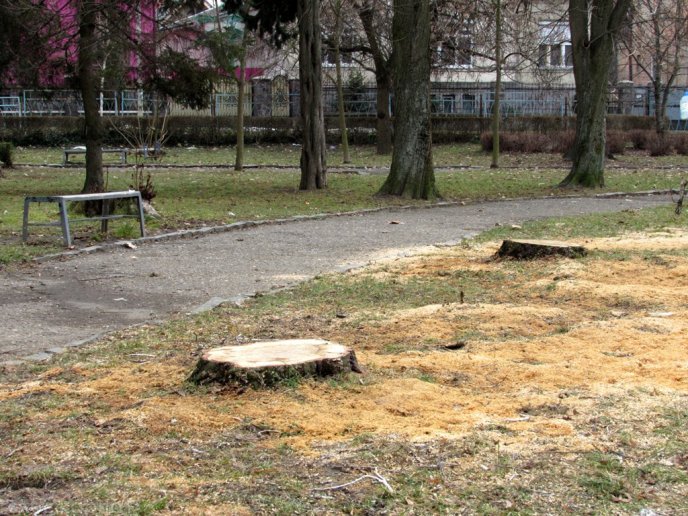 Сквер імені Андрія Кузьменка у Мукачеві: купа пляшок, бруд, поламані лавиці та викрадені смітники – 12