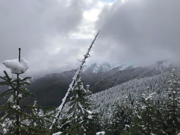 Синевир замело снігом, — соцмережі – 07