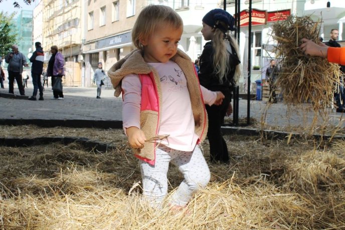 В Ужгороді триває святковий "Мост Сіті Фест" – 17