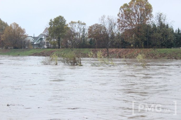 Рівень води у Латориці в межах Мукачева, Кольчина та Чинадієва сильно піднявся – 02