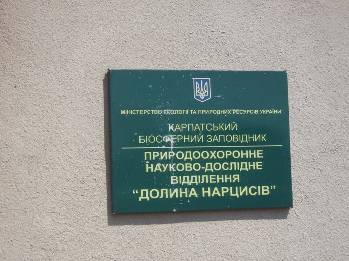 На Хустщині відкрили оновлену дорогу, яка веде до Долини нарцисів – 19