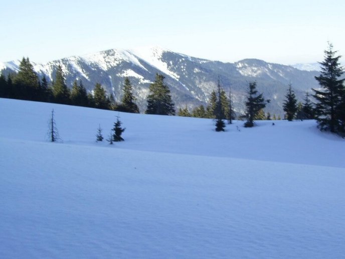 Зима посеред весни: в мережі опублікували фото засніжених гір – 03